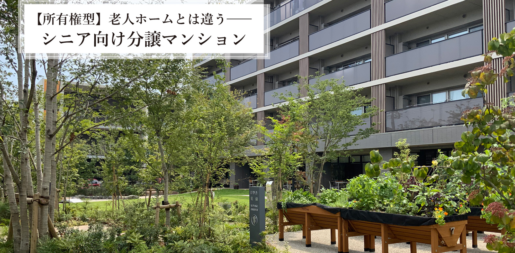 デュオセーヌ国立