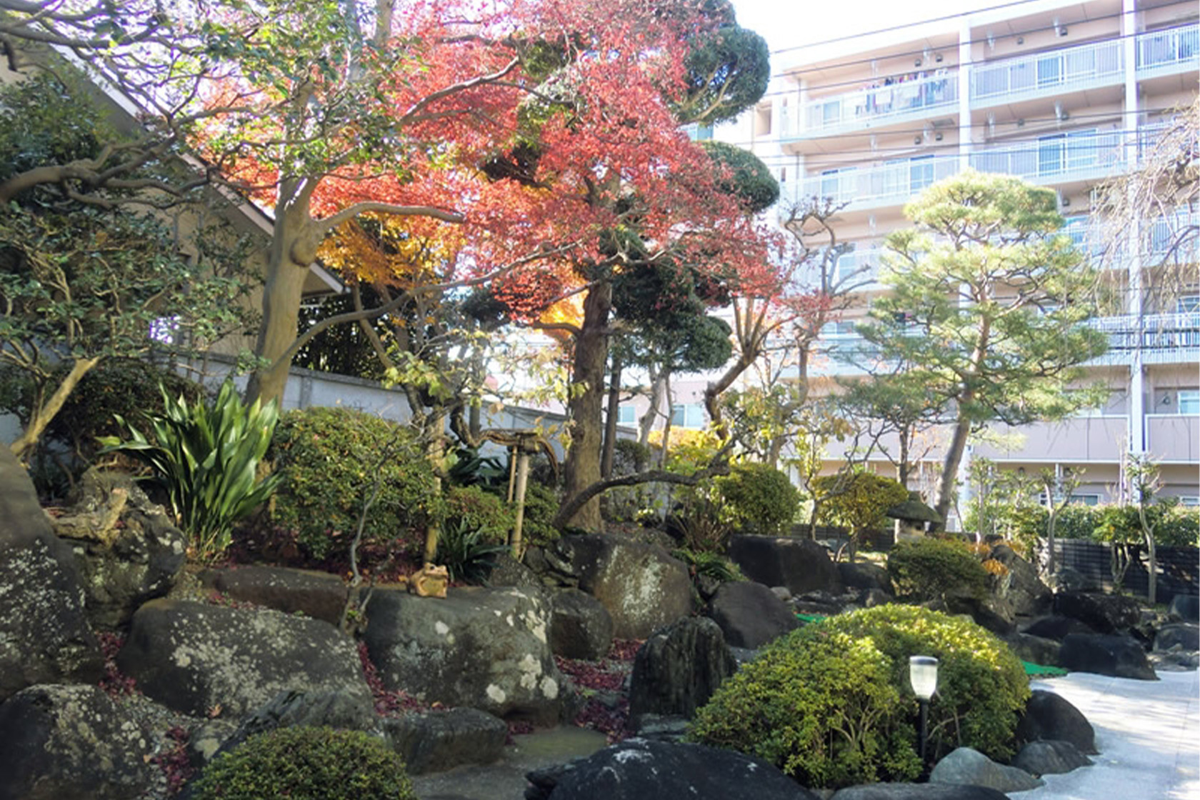 せらび芦花公園のサブ写真１